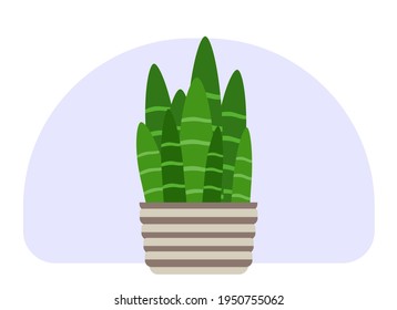 Dibujo vectorial de una planta maceta. Planta alta con baúles y hojas verdes grandes.