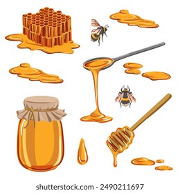 vector drawing honey comb, spoon glass jar, dropper, honeybee and drops isolated at white background, hand drawn illustration