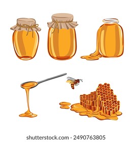 vector drawing honey comb, spoon glass jars, dropper, honeybee and drops isolated at white background, hand drawn illustration