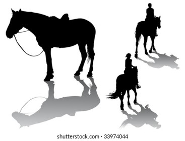 Vector drawing horses. Silhouette on white background