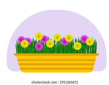 Dibujo vectorial de una planta de una casa en una olla. Hojas verdes y flores brillantes