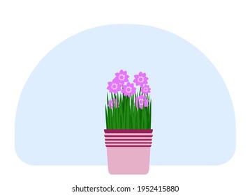 Vector drawing of a house plant in a pot. Green leaves and bright flowers