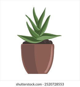 vector drawing house plant in pot, Aloe, succulent isolated at white background, hand drawn illustration