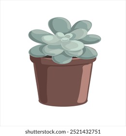 vector drawing house plant in pot, Pachyphytum plant, succulent isolated at white background, hand drawn illustration