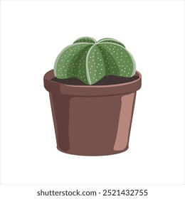 vector drawing house plant in pot, Astrophytum, cacti, succulent isolated at white background, hand drawn illustration