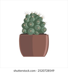 vector drawing house plant in pot,chin cactus, c, succulent isolated at white background, hand drawn illustration