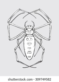 Vector drawing of a / Huge Spider Line Drawing /  Easy to edit layers and groups, no meshes, gradients or effects used, easy to colourize object layers. 