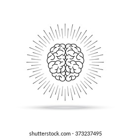 Vector drawing of human brain for medical design. Light rays of burst. Vintage style of the image. Design elements for your projects. Hipster style. Linear drawing.