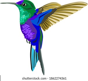 Vektorgrafik eines demütigenden Vogels