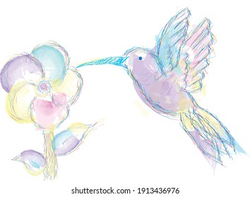 vector drawing hummingbird and flower