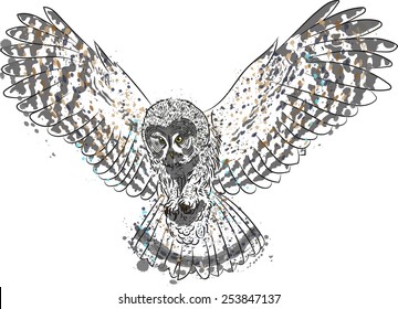 vector drawing hunting owl in flight