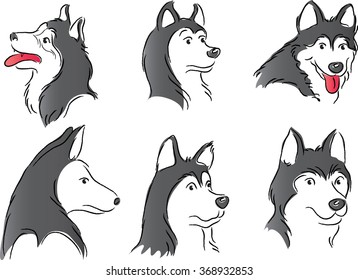 vector drawing Husky dog