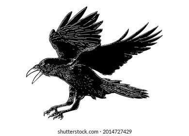 Vector Drawing Illustration Black Raven Bird