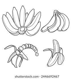 Vector drawing Illustration Hand drawn ink sketch of banana, Half Peeled, whole and sliced line art, For kids coloring book.outline vector doodle illustration, For internet, printing, product design, 