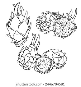 Vector drawing Illustration Hand drawn ink sketch of Dragon Fruit, Half Peeled, whole and sliced line art isolated on white background.  For kids coloring book.outline vector doodle illustration