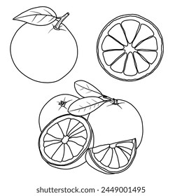 Dibujo de Vector Ilustración Dibujado a mano boceto de tinta de fruta naranja, mitad pelado, entero y corte de arte de línea aislado sobre fondo blanco. Educación y niños de la escuela para colorear página, imprimible, actividad