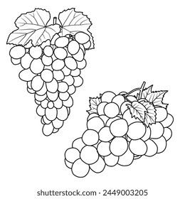 Vector drawing Illustration Hand drawn ink sketch of Grapes Fruit, whole line art isolated on white background. Education and school kids coloring page, printable, activity, flashcard.