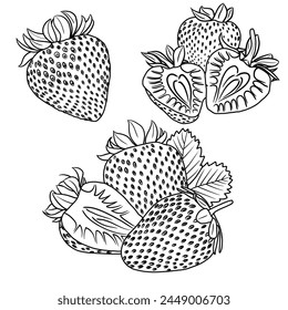 Vector drawing Illustration Hand drawn ink sketch of Strawberry Fruit, Half Peeled, whole and sliced line art isolated on white background. Education and school kids coloring page, printable, activity