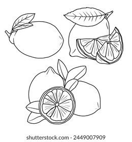 Vector drawing Illustration Hand drawn ink sketch of Lemon Fruit, Half Peeled, whole and sliced line art isolated on white background. Education and school kids coloring page, printable, activity