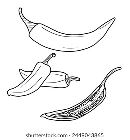 Vector drawing Illustration Hand drawn ink sketch of Chili, Half Peeled, whole and sliced line art isolated on white background. Education and school kids coloring page, printable, activity, flashcard