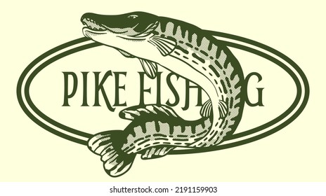 vector drawing illustration of jumping pike fish for fishing, outdoors, adventure and nature logo, t-shirt or label design.