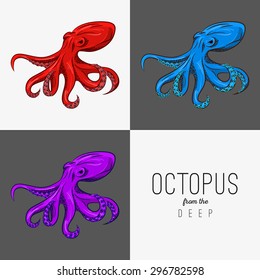 Vector drawing illustration of octopus with curling tentacles. outline, three colors. Poster template, logo, poster, menu.
