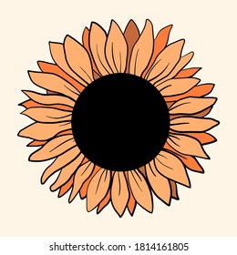 Ilustración vectorial del girasol. Ilustración del vector floral botánico. Dibujado a mano.