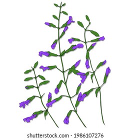 Dibujo de vectores. Una imagen de flores y hierbas. Composición gráfica decorativa. Utilizar materiales impresos, carteles, objetos, decoraciones, carteles, postales.