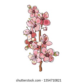 Vector drawing with the image of sakura flowers for the design of invitations, greetings, posters, cards, covers, prints