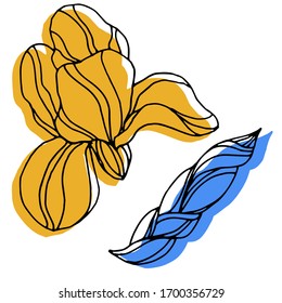 Vektorillustration von Irisblumen. Die Natur. Skizze, Illustration.