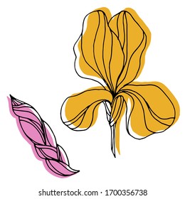 Vector drawing of iris flowers. Nature. Sketch, illustration.