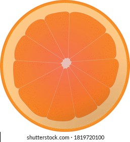 vector drawing of an isolated orange with noises. object for bright and festive design.