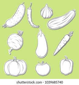 vector drawing isolated vegetables, hand drawn illustration