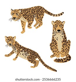 vector drawing jaguars, wild animals isolated at white background