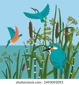 vector drawing kingfishers and bur-reed, wild water birds and plants at blue river and sky background, hand drawn illustration