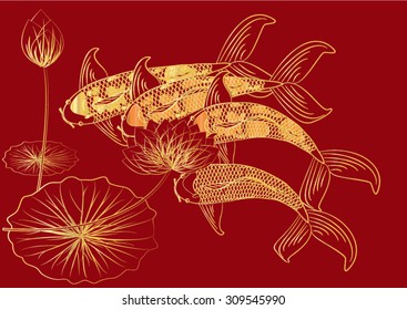 Vector drawing koi and lotus for background
