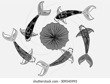 Vector drawing koi and lotus for background