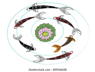 Vector drawing koi and lotus for background