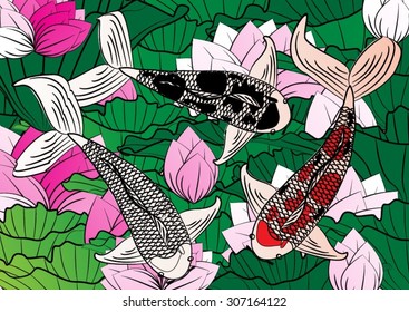 Vector drawing koi and lotus flower for background