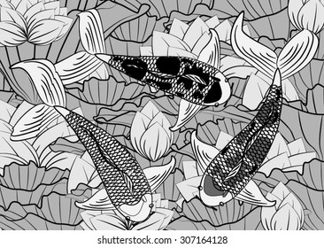 Vector drawing koi and lotus flower for background