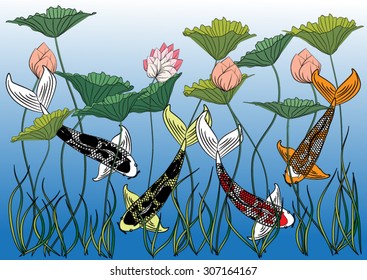 Vector drawing koi and lotus flower for background
