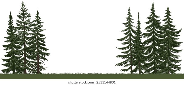 vector drawing landscape with fir trees and grass, spruce trees, coniferous trees, natural forest background, hand drawn illustration