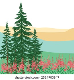 vector drawing landscape with fir trees and rosebay flowers, spruce trees and fireweeds, coniferous and red willowherb, natural forest background, hand drawn illustration