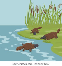 vector drawing landscape with river, plants and duck-billed platypus, cartoon animals, hand drawn illustration