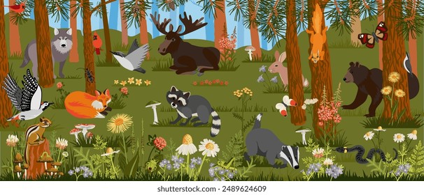 vector drawing landscape with summer forest, trees, wild animals and birds, insects and plants, wimmelbook, page of hidden picture book, natural background, hand drawn illustration