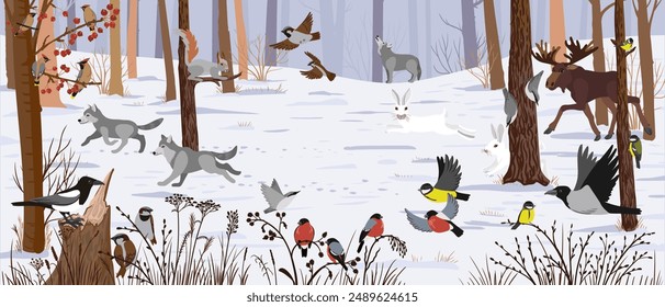 vector drawing landscape with winter forest, trees, wild animals and birds and dry plants, wimmelbook, page of hidden picture book, natural background, hand drawn illustration