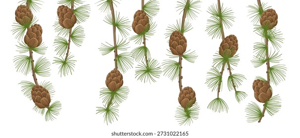 ramos larch de desenho vetorial com cones e agulhas verdes, fundo natural, ilustração desenhada à mão
