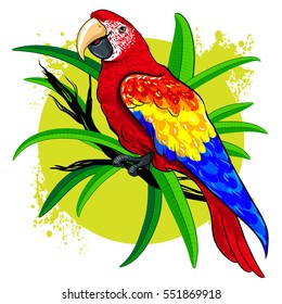 vector drawing of a large bright colored parrot on  background  green leaves