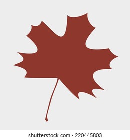 vector drawing of a large brown maple leaf