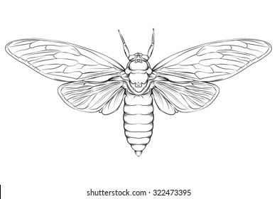 Moth Sketch Images Stock Photos Vectors Shutterstock All orders are custom made and most ship worldwide within 24 hours. https www shutterstock com image vector vector drawing large moth line easy 322473395